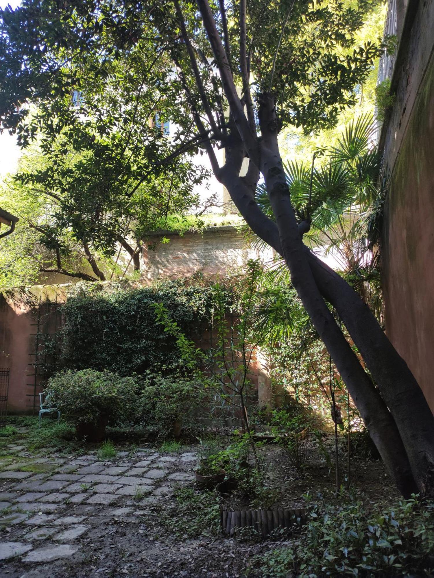 Loft Loggia Al Santo Appartamento *